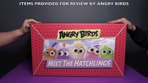 Angry Birds Meet The Hatchlings HUGE Surprise Toys Unboxing! _ Bin's Toy Bin-4d