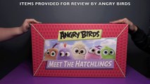 Angry Birds Meet The Hatchlings HUGE Surprise Toys Unboxing! _ Bin's Toy Bin-4dgSIp