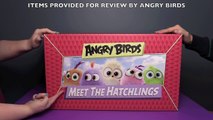 Angry Birds Meet The Hatchlings HUGE Surprise Toys Unboxing! _ Bin's Toy Bin-4d