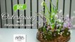 DIY - hübscher Osterkranz mit Frühlingspflanzen [How to] Deko Kitchen-6sLyry