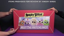 Angry Birds Meet The Hatchlings HUGE Surprise Toys Unboxing! _ Bin's Toy Bin-4dg