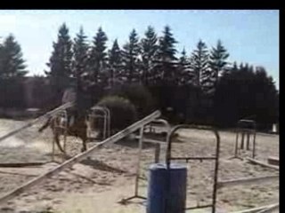 Equitation