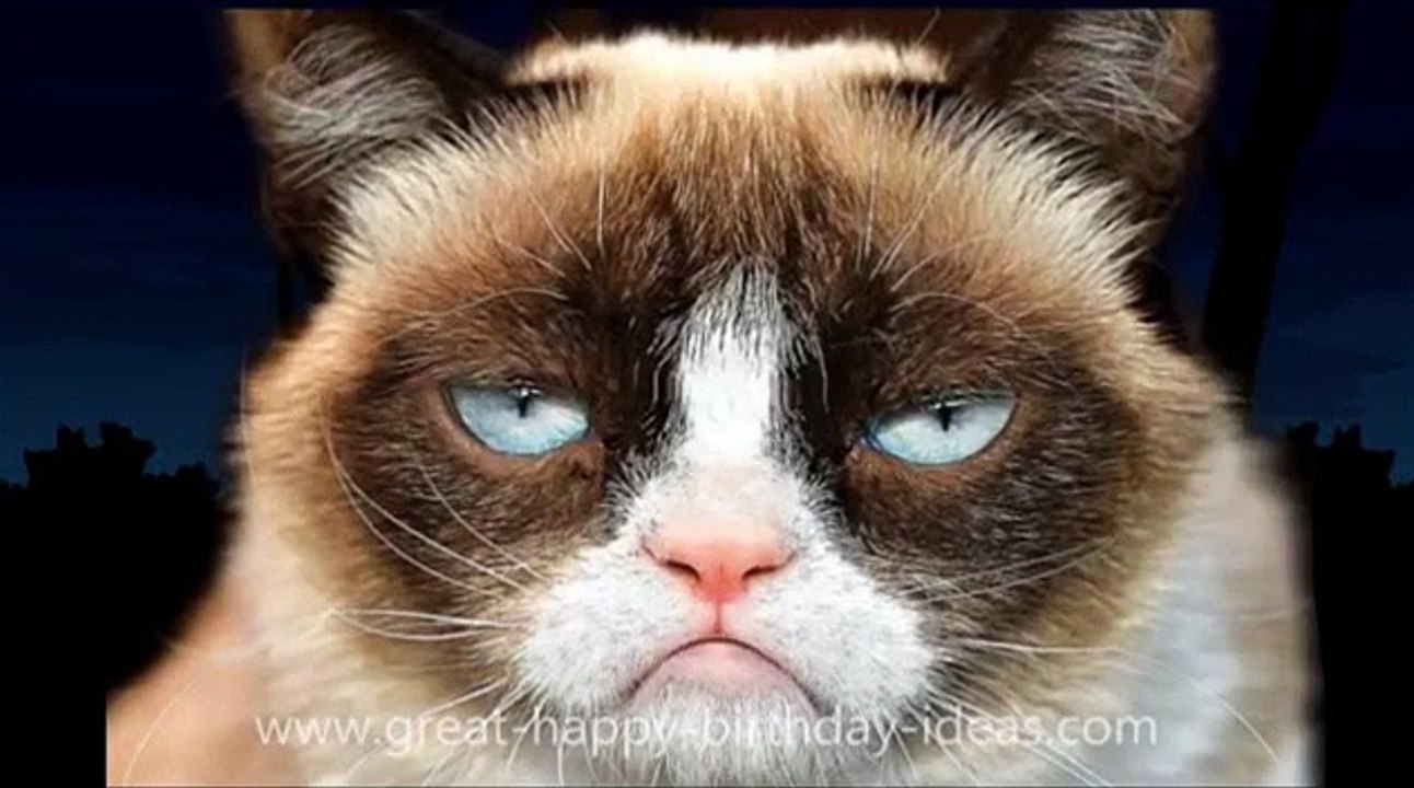 Bon anniversaire mon petit fils