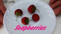 DIY Soap berries - How to make soap embeds - Soap making-ImJQQZxr