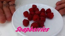 DIY Soap berries - How to make soap embeds - Soap making-ImJQQ