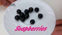 DIY Soap berries - How to make soap embeds - Soap making-ImJ
