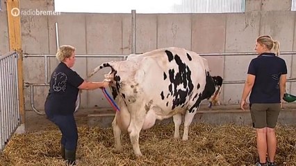 Mucizeye Şahit Olmak İster Misiniz?