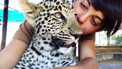 Woman cuddles leopard in South Africa