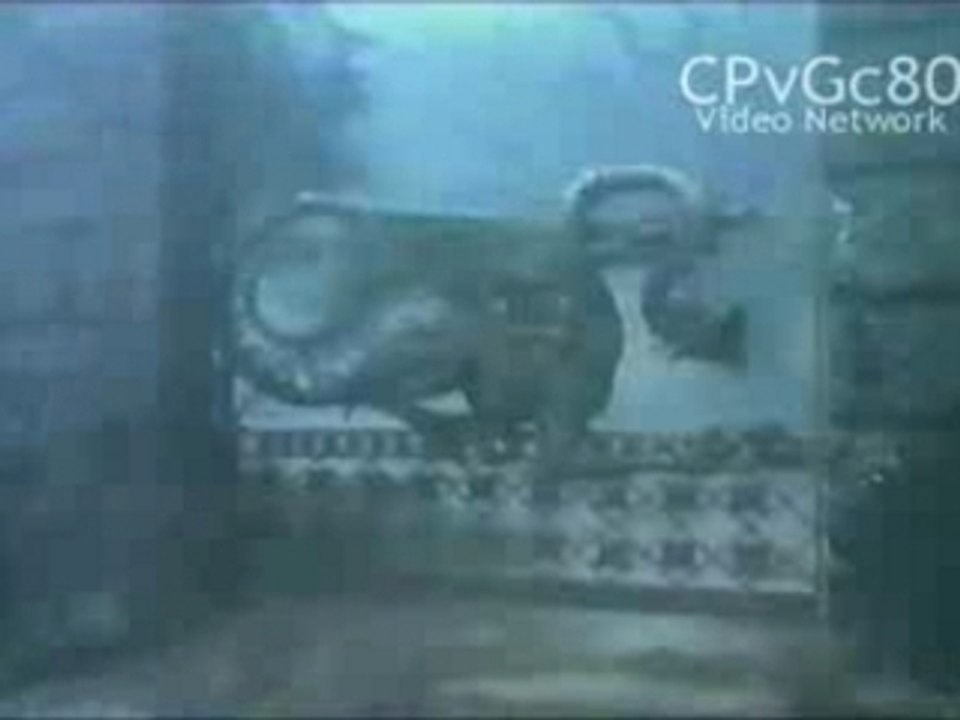 Nelvana (Tales from the Crypt) Vídeo Dailymotion