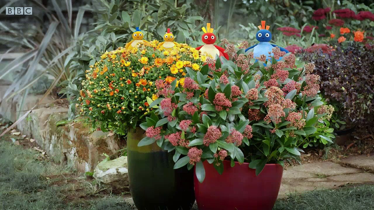 Twirlywoos - S1E04. Up