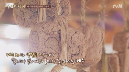 [호기심 해결!] 왜 시골된장은 맛이 다를까?
