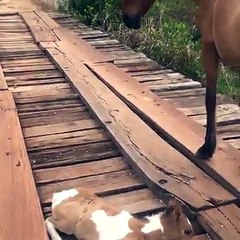 Word for this Beautiful Vide - Exploring Beauty