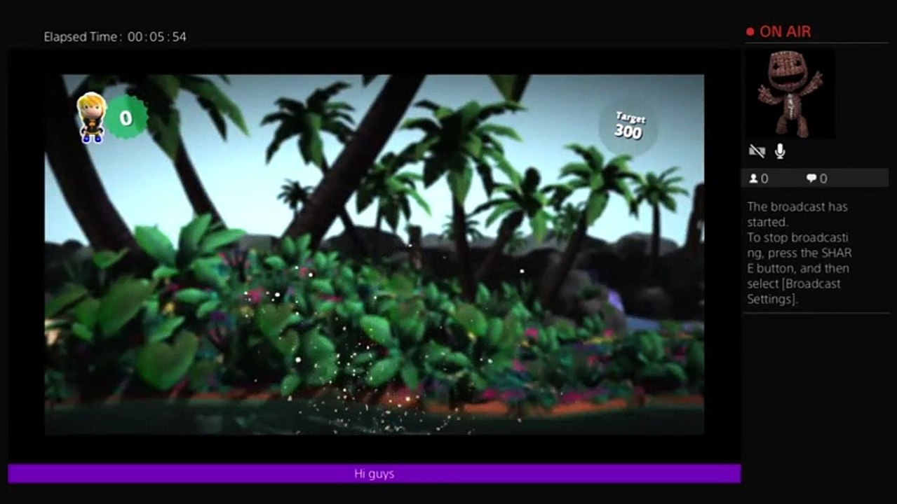 pbf29's Live PS4 Broadcast (32)
