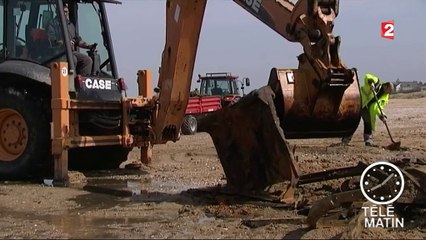 Une barge du Débarquement découverte en Normandie