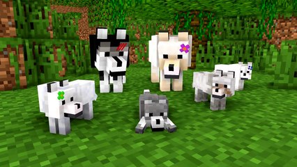 Wolf Life: The Family -- Cubic Minecraft Animation - Download in description