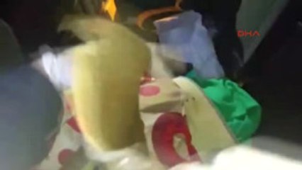 Erzurum - Irak'tan Kaçırılan Picasso'nun Tablosu Erzurum'da Ele Geçti-ek