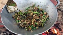 How To Catch And Cook Snails - Fried Snails Hot Spicy Basil Recipe-aWsEO0qy