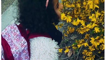 Innocence en Danger : Guilty Tags