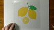 Drawing of some lemons - How to draw 3D Art-CGhs