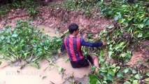 Wow! Amazing children and his brothers catch and cook water frog with bare hand in his village-J3-rgd