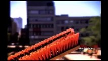 How It's Made - BRUSHES and PUSH BROOMS-72