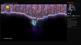 Terraria (4)