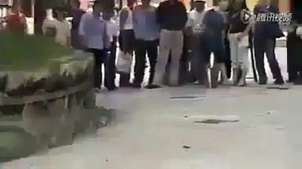 A Real Fight Between Bird And Snake Watch This Amazing Video You Will Be Surprised!!!!