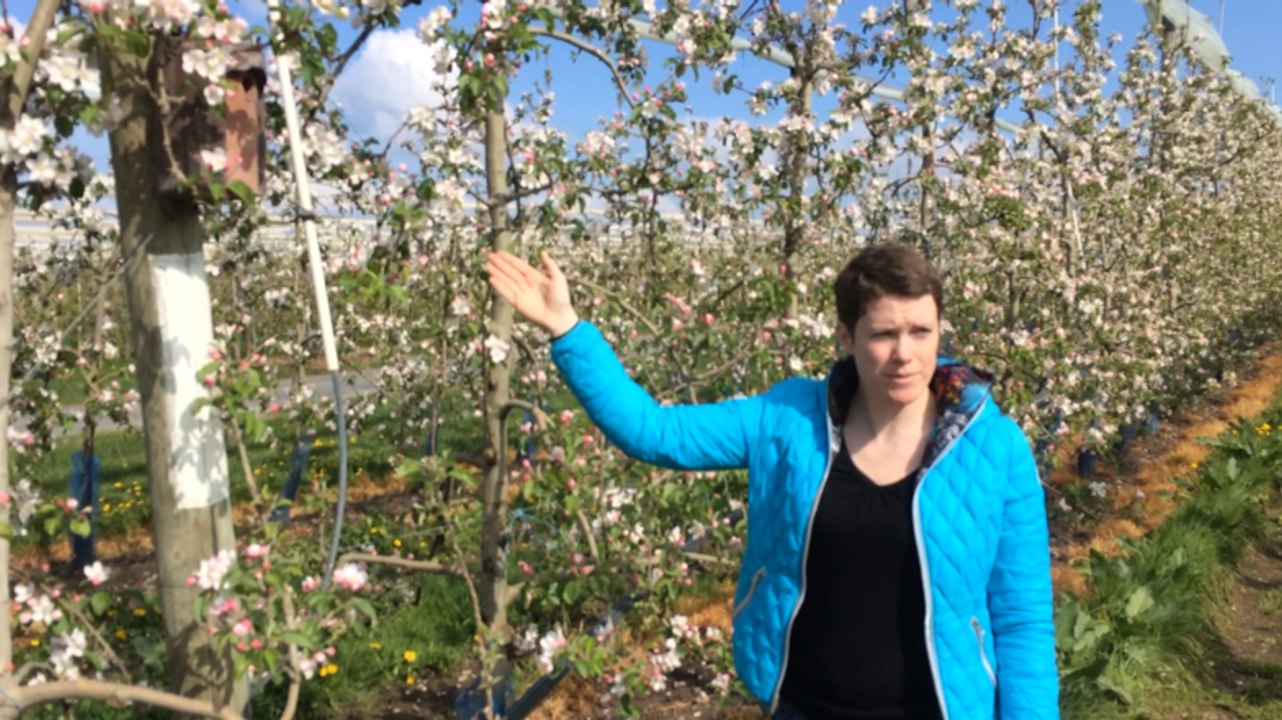 C'est quoi un verger éco-responsable ?