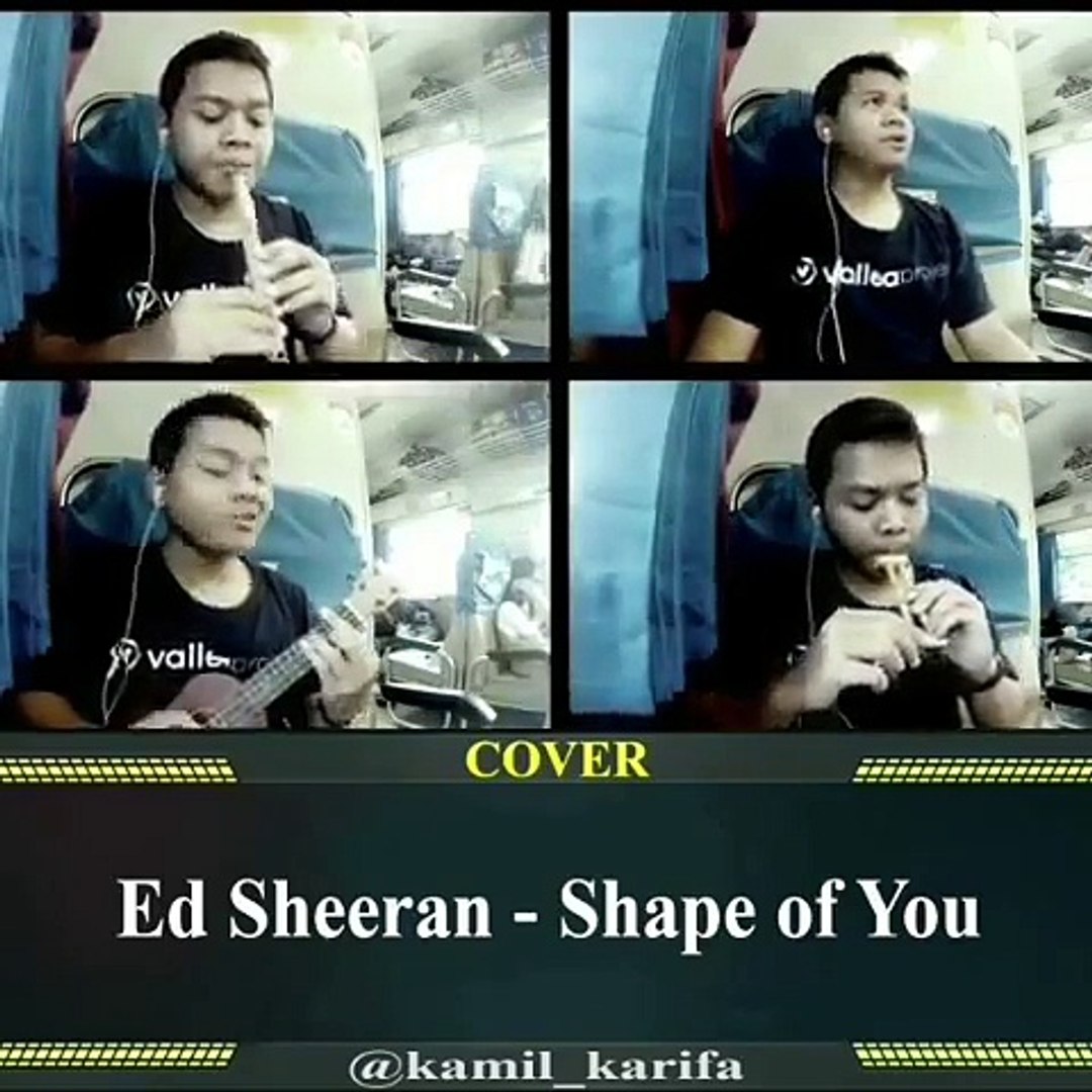 ⁣Ed Sheeran - Shape Of You