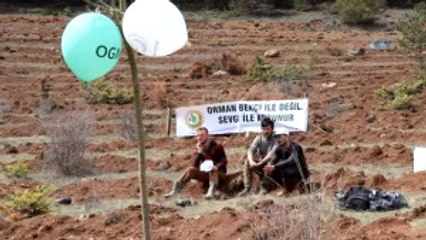 Şehit Ömer Halisdemir Adına Hatıra Ormanı Oluşturuldu