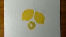 Drawing of some lemons - How to draw 3D Art-C