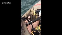 Hammerhead shark lies on kayaker's lap after being caught
