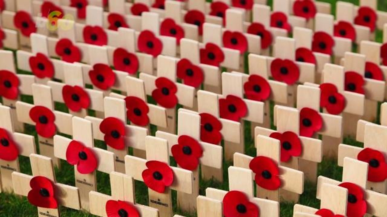 This Is Why Poppies Are An International Symbol Of Remembrance