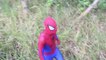 New Spiderman Bath Time - In Real Life _ Tropical Island Adventure _ Superhero Movie-PJ9g