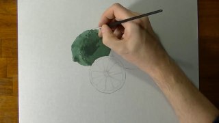 Drawing of some limes - How to draw 3D Art-t5Ju0Du