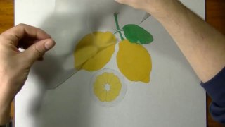 Drawing of some lemons - How to draw 3D Art-CGhs
