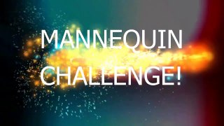 MANNEQUIN CHALLENGE! YUMMYBITESTV-UMSe5-x3