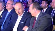 Bakan Çavuşoğlu: 