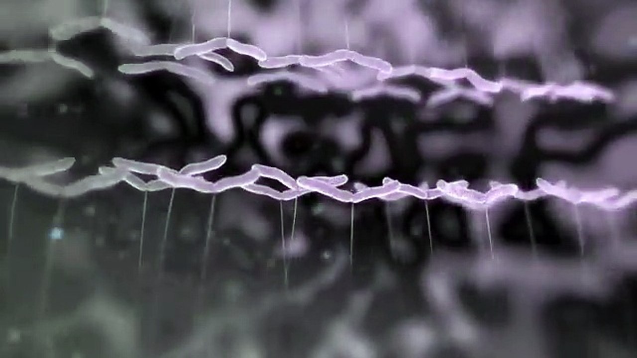 HPV_ Preventing Cervical Cancer