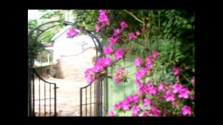Wisteria Bed and Breakfast - Laurel Mississippi