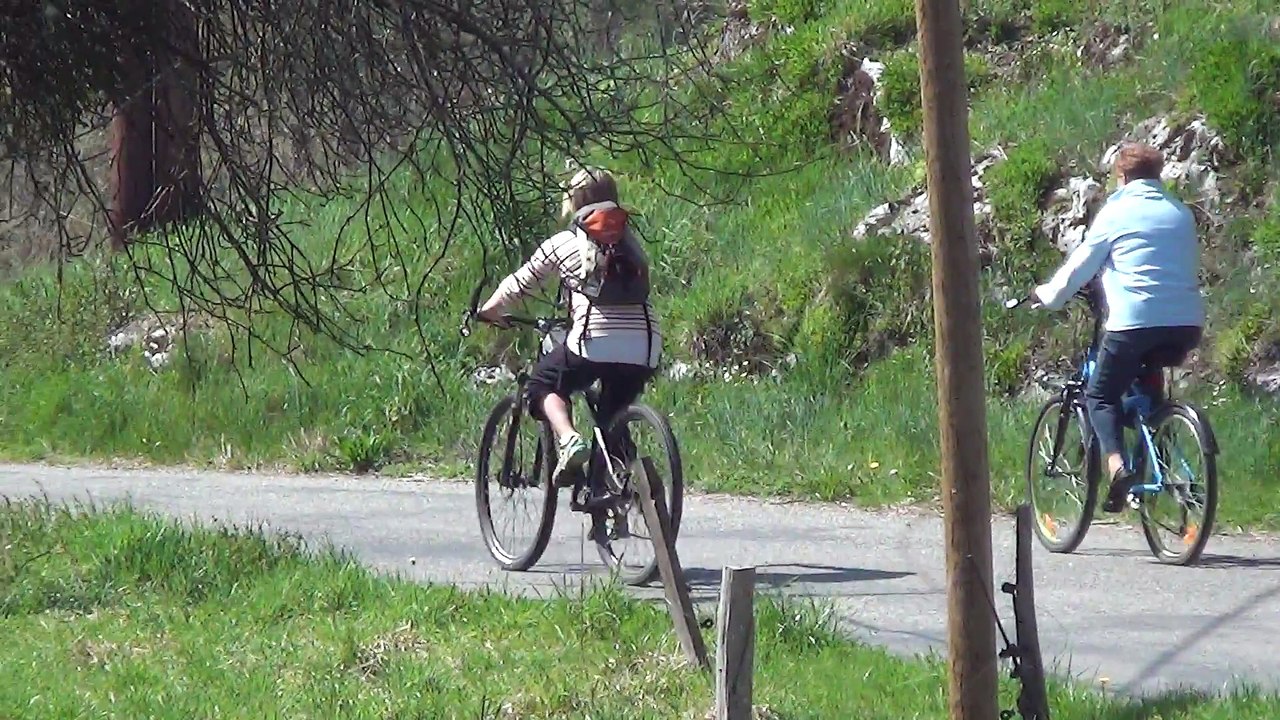 vélos