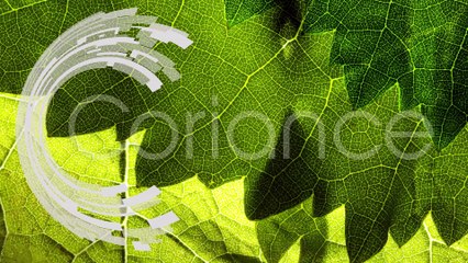 Coriance : L'alternative en services énergétiques et environnementaux