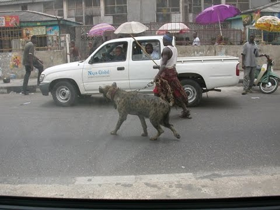 CET HOMME A UNE HYÈNE COMME ANIMAL DE COMPAGNIE