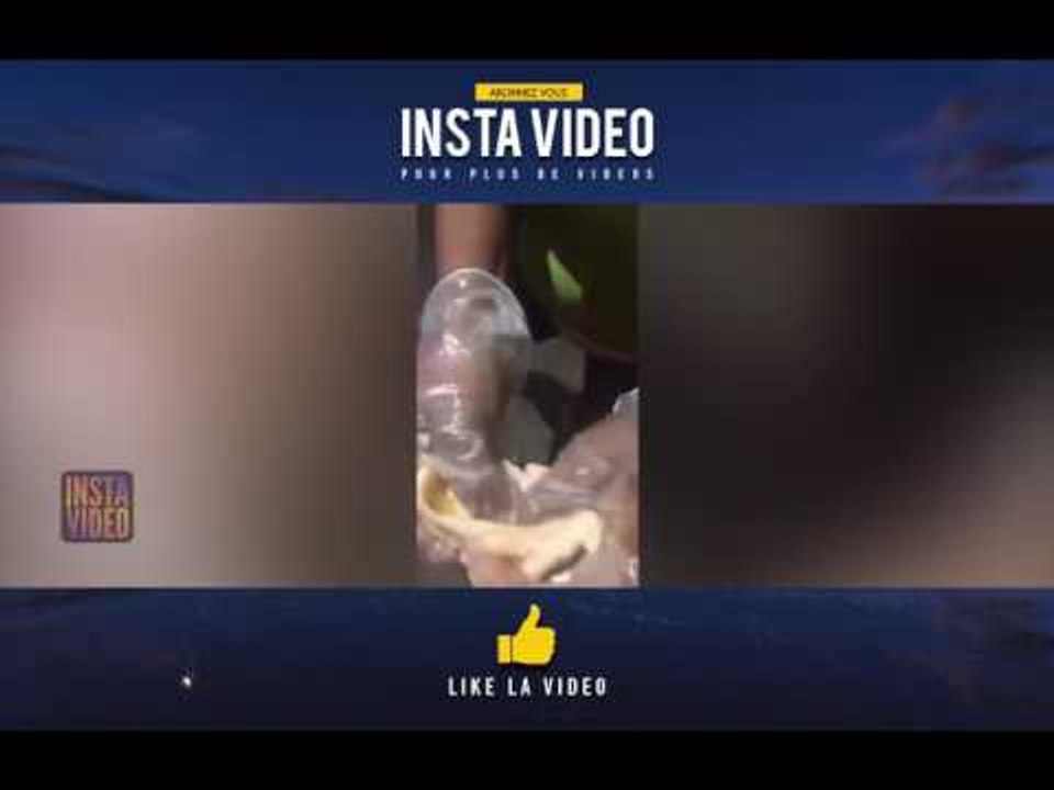 DU POULET PLASTIQUE !!! 