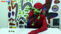 Red Spiderman - Spiderman plays with Hulk - unboxing Hulk toy (Hot toy Hulk unboxing)