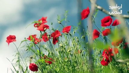 1 أنس بن مالك خادم النبي   سلسلة نزهة الأحباب في قصص ومآثر الأصحاب    إذاعة البيان