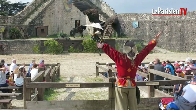 Provins : faucons et chevaliers reprennent du service