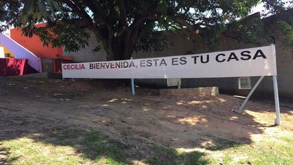 Cecilia, la chimpancé con depresión que logró libertad en Brasil