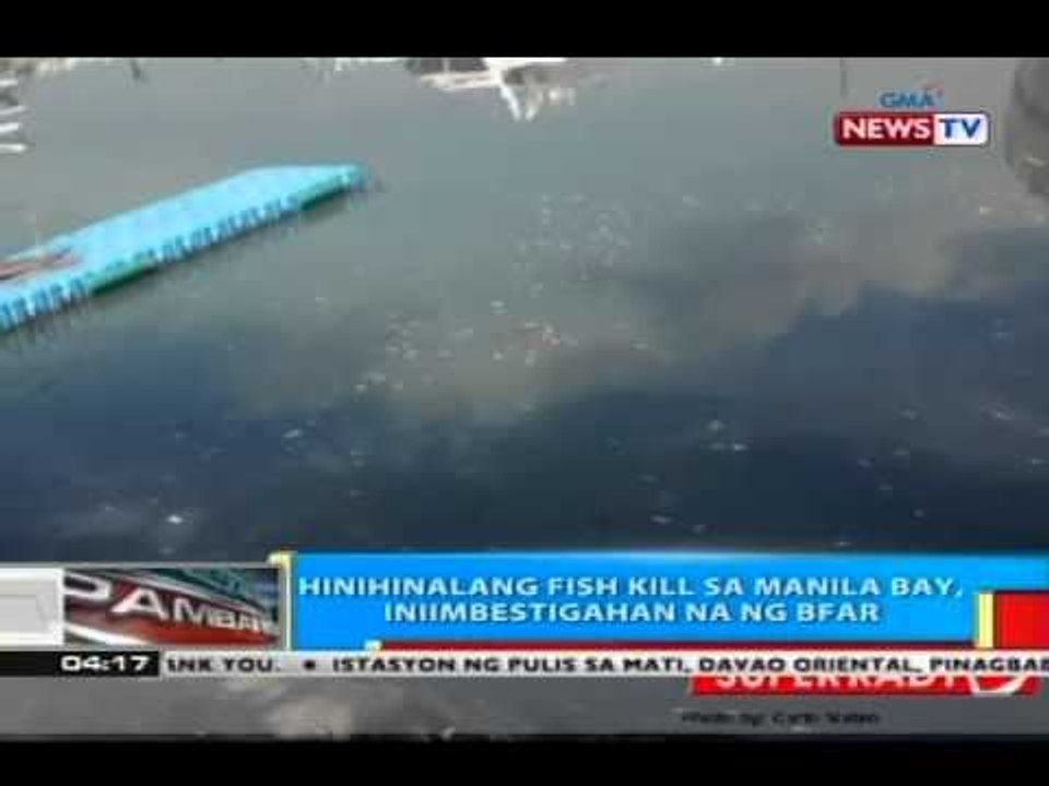 BP: Hinihinalang fish kill sa Manila Bay, iniimbestigahan na ng BFAR