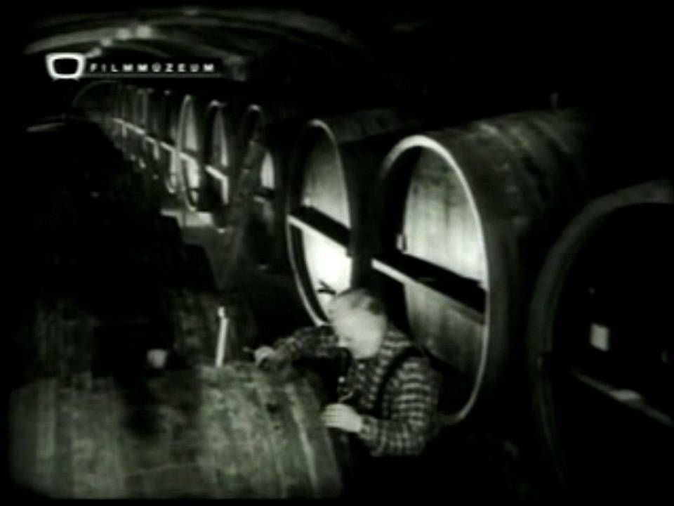 Nagyüzemi Szőlőfeldolgozás 1968